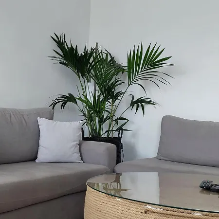 Uppolis με θέα τα νησιά Ano Syros