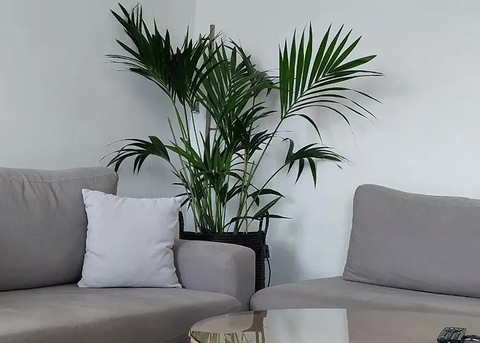 Uppolis με θέα τα νησιά Ano Syros